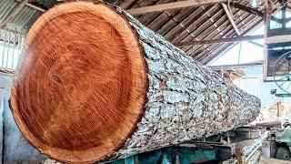 Amazing Transform Logs into Lumber, Produce High-Quality Wood Fast, Done in Minutes