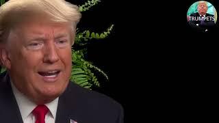 Between two Ferns Trump & Zach Galifianakis