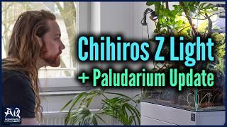 Spot lighting for nano aquariums? Chihiros Z Light Tiny | AquaOwner