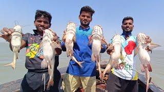 खोल समुद्रात गरी टाकून पकडल्या मोठ्या-मोठ्या शिंगाल्या. Deep sea catfishing. Mumbai Indian fishing