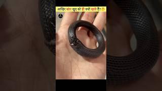 Why Snakes Eat Themselves 