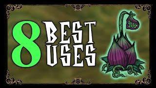 LUREPLANT BEST USES | Don't Starve Together Guide