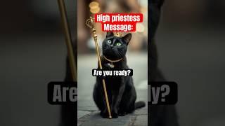 #tarot #tarotreading #tarotcards #tarotreader #cats #shorts #astrology #tarotcat