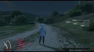 GTA V | PC - netSyncDataNode (Private Mod User) CRASHED