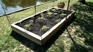 Building and Planting a Raised Garden Bed | TheHome.com in the Garden