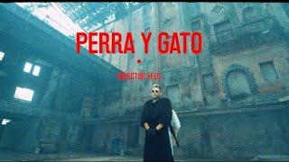 DANNY  CARLOS DIAZ - Perra y Gato (Official Video)