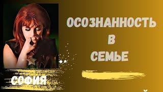 Осознанность в семье