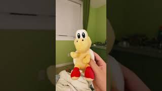 Paratroopa becomes a koopa troopa