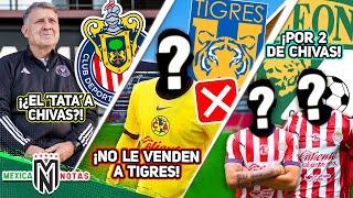 ¿Tata Martino NUEVO DT de Chivas?| Ame LE NIEGA fichaje a Tigres |León va por dos de Chivas