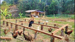 Building a Wooden House ( Cabin ). Tiny Cabin. Building Farm _ Thúy Building Farm