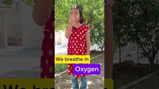 Oxygen Fun Facts for Kids: Breathe in the Knowledge!  #LearnWithFun #childrenlearningvideos