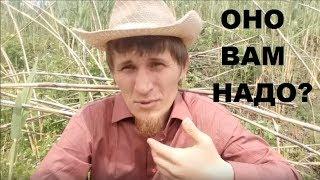 Пора отказаться от хозяйства?