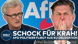 MAXIMILIAN KRAH: Is the AfD Cleaning House? Scandal Politician Ousted from EU Delegation!