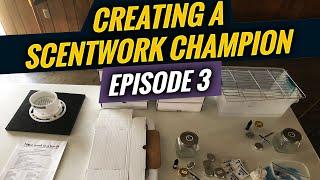 Getting Started in Scentwork | Creating a Scentwork Champion Episode 3