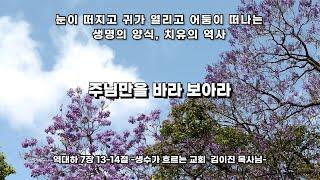 주님만을 바라 보아라 -역대하 7장 13-14절 Look only to the Lord - 2 Chronicles 7:13-14 - 생수가 흐르는 교회 김이진목사님 설교