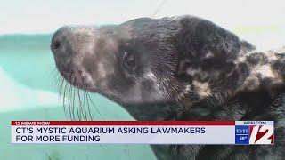 Mystic Aquarium asking CT government for more funding