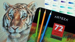 ARTEZA Expert Coloured Pencil Review & Demo