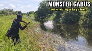 TAK DI DUGA..! ADA IKAN GABUS SUPER BESAR DI PARIT AIR JERNIH