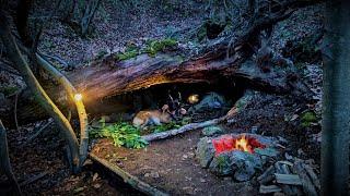 Wild Camping in Primitive Survival Shelter - Natural Bushcraft Shelter, Nature Sounds, Asmr, Diy