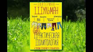 Аудиокнига - "Практическая политология. Пособие по контакту с реальностью" - Екатерина Шульман