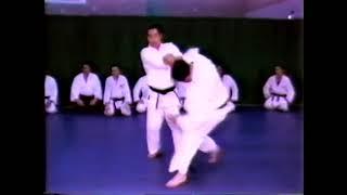 Fundamental Shodokan Aikido - Nariyama Shihan