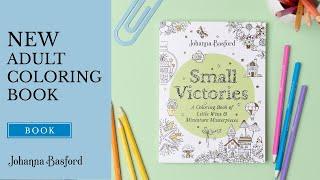 SMALL VICTORIES - FLIP THROUGH