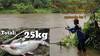 Pesta Setrek Ikan babon Lele Ikan Patin Terbesar || Di spot Sungai Banjir Part 1