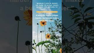 worldly life is short #relaxing #sleep #sounds4sleeping #viral