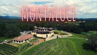 The Best Winery of North Georgia | Montaluce Winery and Restaurant