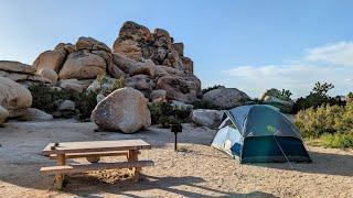 Camping at Ryan Campground - Joshua Tree National Park