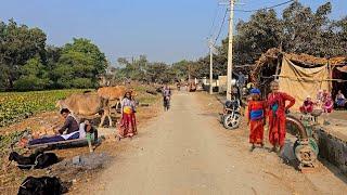 Some Of The Most Unique Villages Of India [] Life Of Poor People In Uttar Pradesh [] Real Life..