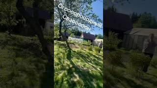 #ура #огородныйсезон начался!!! Кст. на фоне играет мой #трек! #дача #огород #удмуртия #здоровье #ее