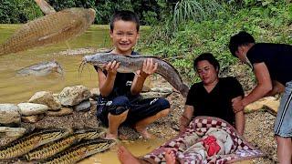 Khai went to the forest to pick medicine to save Dinh, Thien caught many big fish