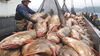 Fishermen's Journey To Catch Millions Of Tons Of Fish In The Middle Of The Distant Ocean