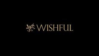 Wishful black box | wishful black box premium articles | wholesale