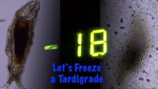 What can a Tardigrade survive?