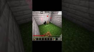 Minecraft Naughty Moment #trending #gaming #viral #shorts