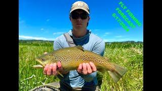 Mossy Creek Fly Fishing Forecast 6/17/2024