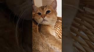 Пробуждение. Позитив от Марселя.