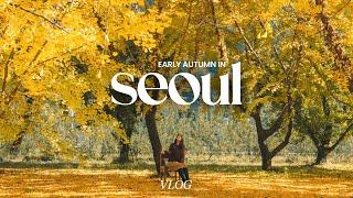 autumn in seoul vlog | fall foliage cafe, han river picnic, home plant care, life in seoul