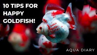 Top 10 Secrets For Keeping Your Goldfish Happy!