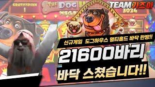 [슬롯머신] 프라그마틱 신규게임 도그하우스 멀티홀드 21600바리 바닥 한방 제대로 스쳤습니다! #슬롯머신 #슬롯실시간 #하이라이트