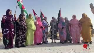 Saharawi Women Activists - Western Sahara