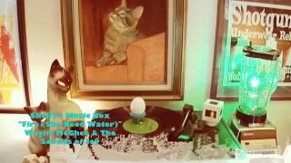 Shelly's Music Box: "Fire (She Need Water)" - Wayne McGhie