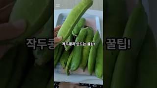 비염에 좋은 작두콩차 만드는 꿀팁