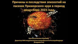 Щелканов М.Ю. Причины и последствия эпизоотий среди медоносных пчел на пасеках Приморского края 2023