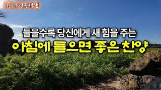 찬송가 모음집 | 하나님의 은혜가 가득한 찬양 모음집 | 광고없는 3시간 연속재생 | Hymn collection | south korea jeju |