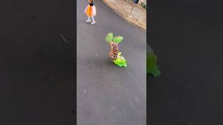 Palhacinho se jogando no passinho no Trenzinho da Alegria!  #shorts