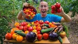 100% Organic Garden Harvest | Backyard Permaculture Gardening