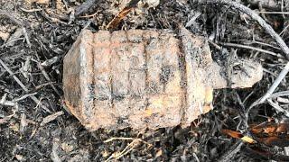 Guadalcanal Battlefield Relics Found in New Area - grenade, BAR magazines, barb wire, etc.